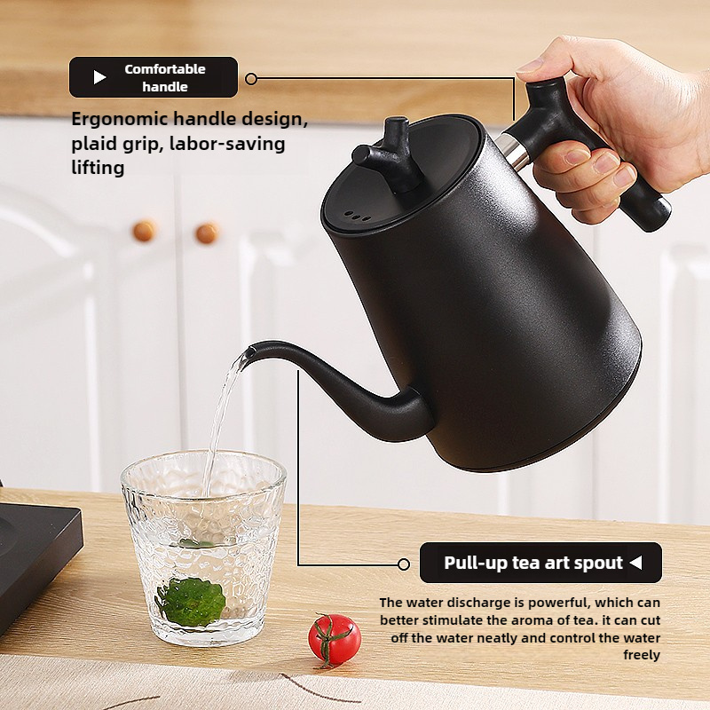 Bollitore Elettrico a Collo d' - Electric Kettle Temperature Control recensione e prezzo